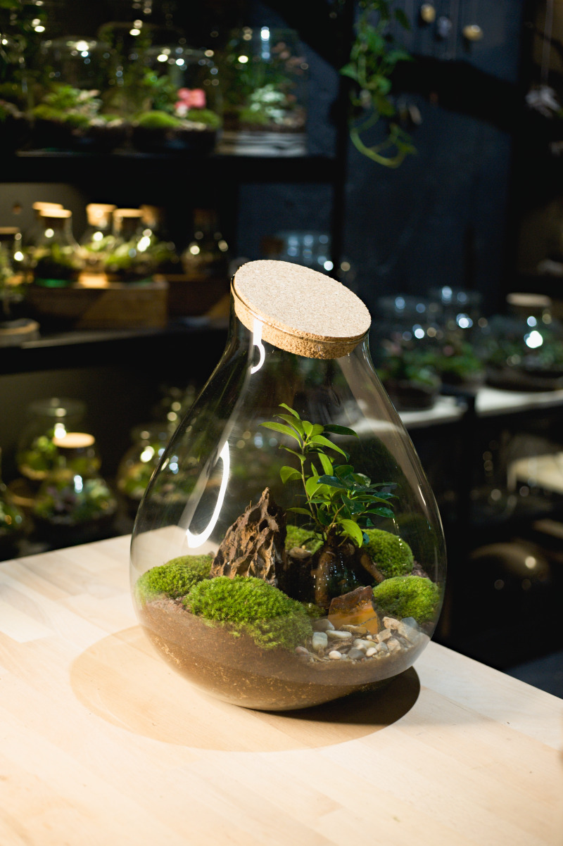 Mechárium Gaia ZEN