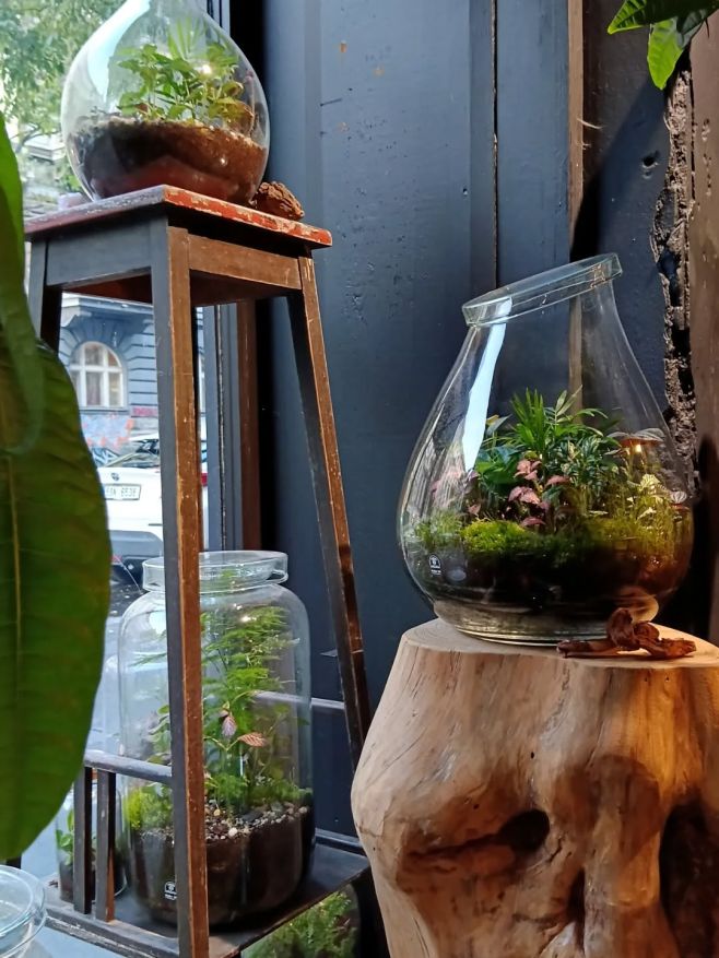 Vítám vás ve své 'Witch Cottage' v pražské Korunní 1250/46 🖤 Na místě, kde se prolínají magické světy rostlinných terárií...